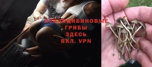 бошки Анива