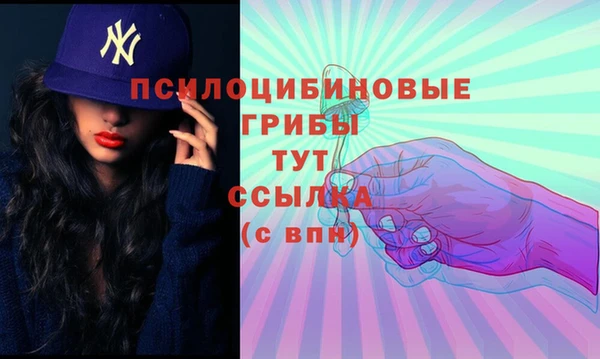 крисы Аша