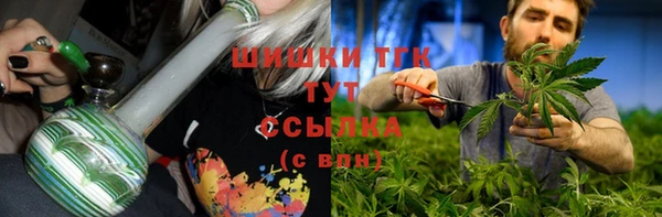 крисы Аша