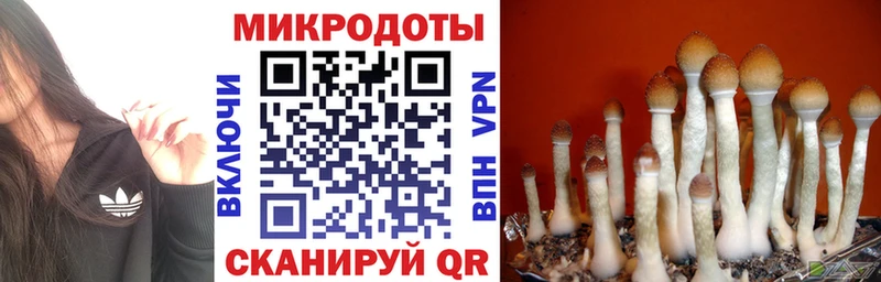 купить  сайты  Ковдор  Галлюциногенные грибы ЛСД 