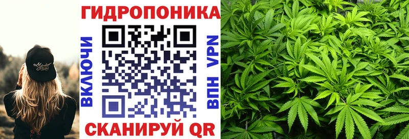 Бошки Шишки Amnesia  Ковдор 